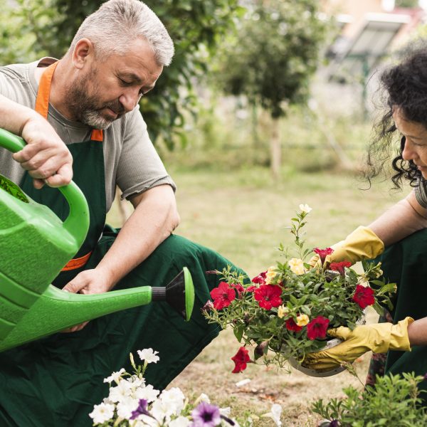 jardin collectif au centre communautaire Vers Vous.